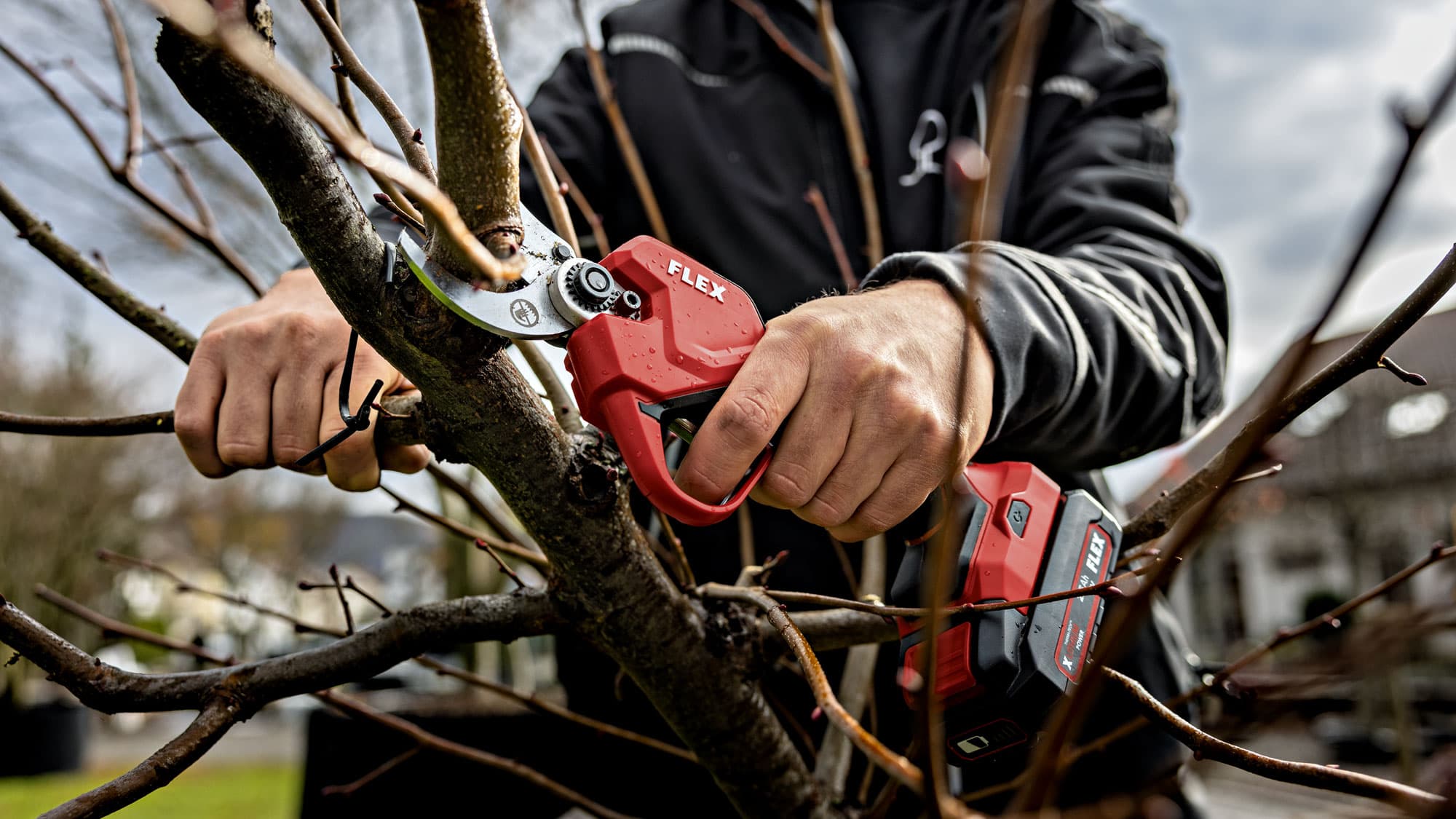 Un usuario corta una rama con la podadora sin cable FLEX GPS 35 18.0-EC. Las potentes tijeras se utilizan con precisión en el jardín y permiten un trabajo potente y sin cables.