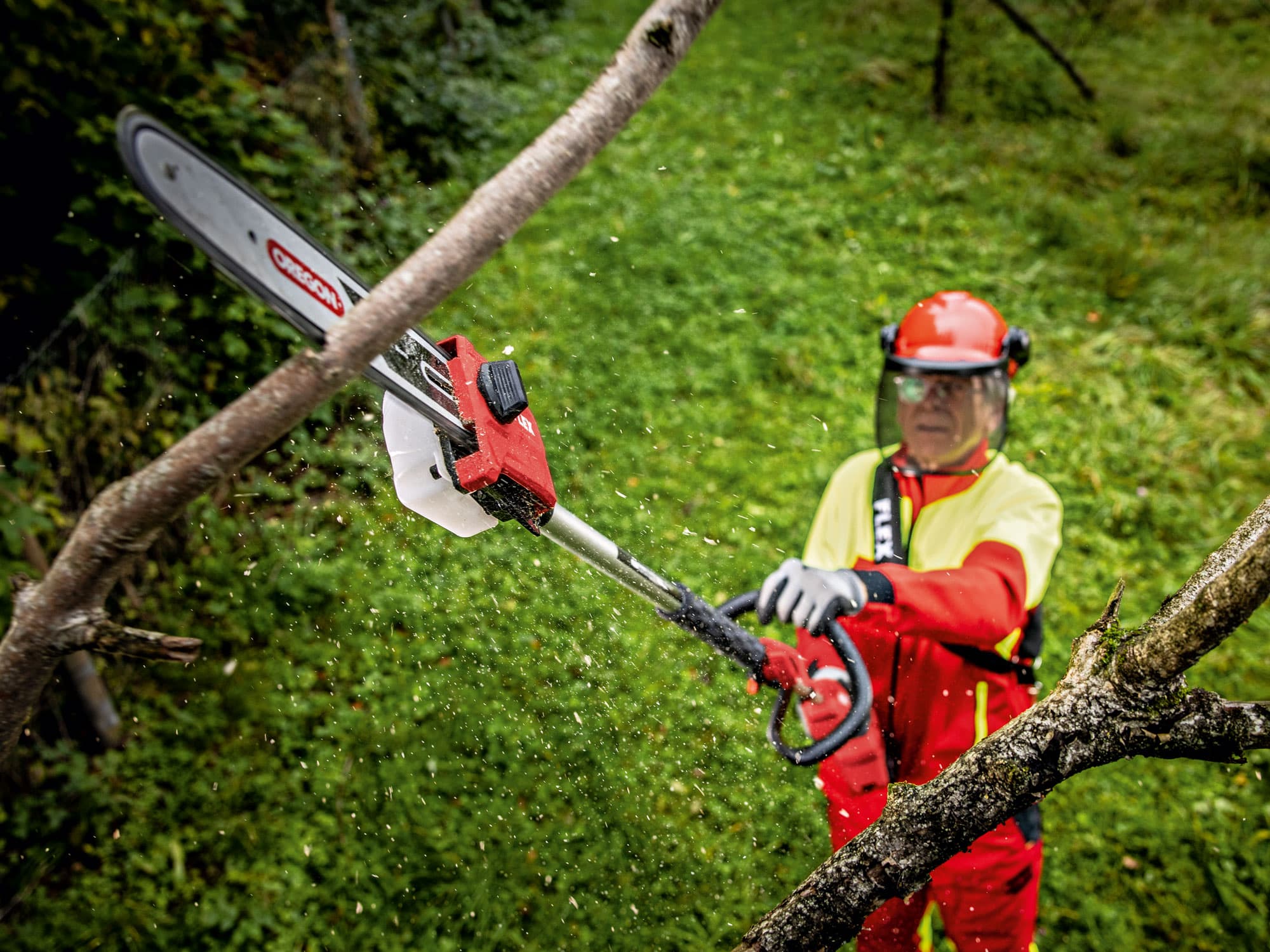 Tree pruning in the garden with the FLEX cordless pole pruner and pole pruner attachment.