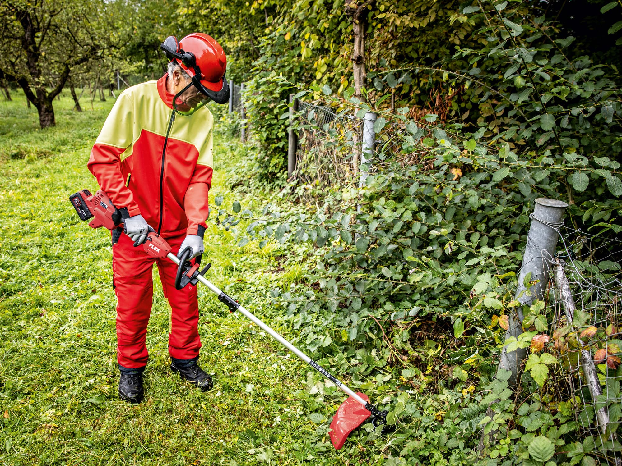 Removing undergrowth and bushes with the FLEX cordless multi-tool and brush cutter attachment.