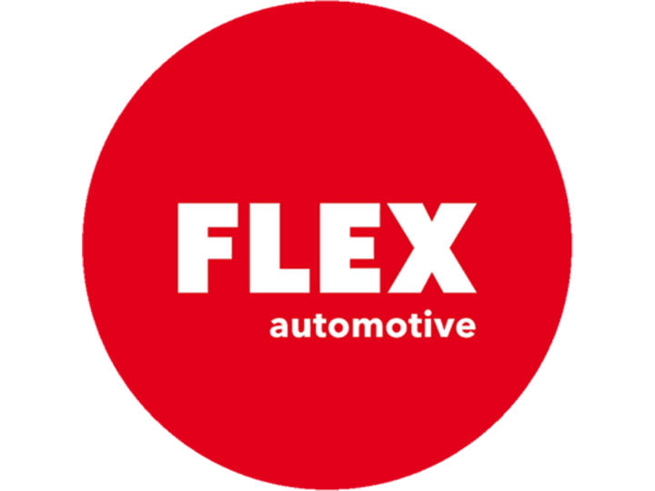 FLEX Logo Instagram Automotive